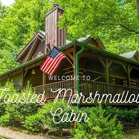 Pigeonforge Cabin Game Roomdog Friendlyhot Tub Pigeon Forge Exterior photo